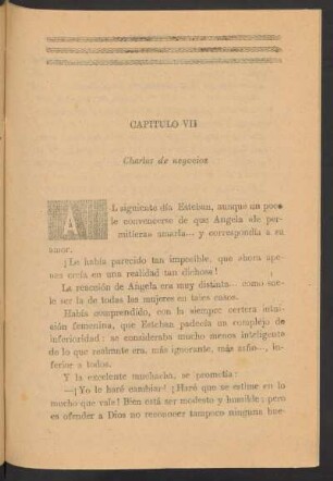 Capítulo VII - Charlas de negocios