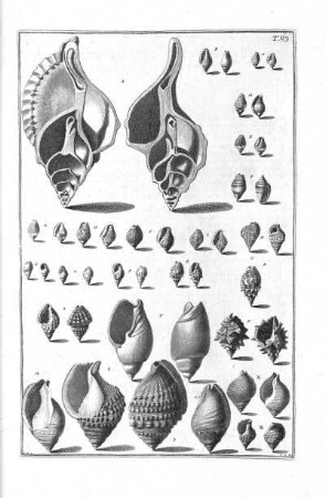 Tab. 43
