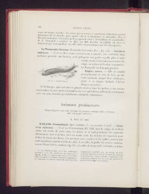 Animaux producteurs