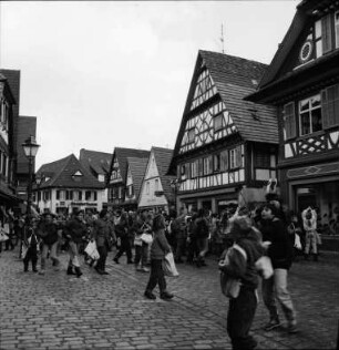 Storchentag in Haslach
