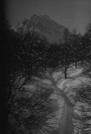 Mittenwald: von der Kranzbergseilbahn, Waldweg im Schnee und Wettersteinspitze