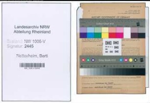 Entnazifizierung Berti Nettesheim , geb. 09.04.1900 (Lehrerin)