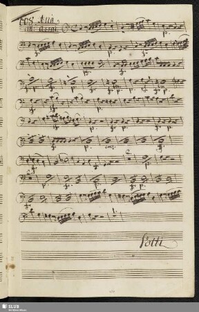608. Aria: Vorrei punirti indegno / Naumann, J.G.