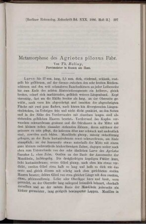 Metamorphose des Agriotes pilosus Fabr.
