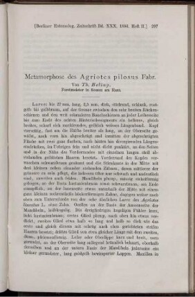 Metamorphose des Agriotes pilosus Fabr.