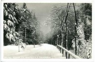 Moldau. Straße von Rehefeld nach dem Fischerhaus