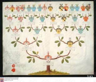 Ahnenprobe des Friedrich Johann Christoph Heinrich v. Seebach a. Stedten. - ausgefertigt 1802 November 28, Pergament