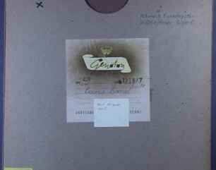 [Stiffelio/Aroldo] : [Mitschnitt Orchesterprobe]