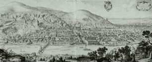 Ansicht von Heidelberg