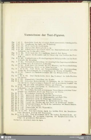 Verzeichniss der Text-Figuren