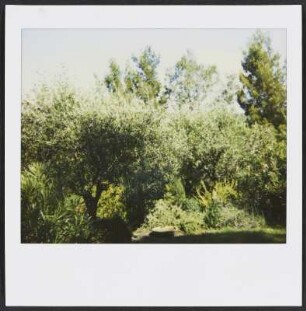 Garten in Puy-Saint-Martin