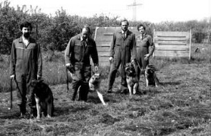 Neuershausen: Übung der Polizeihundestaffel; gemeinsam