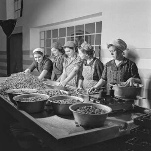 Frauen beim Aufteilen und Abwiegen von Bohnen