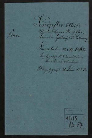 Alois Knöpfler (1847-1921)