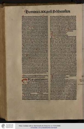 Dominica vicesima post penthecosten, sermo primus scilicet iuxta evangelium applicando de egritudinibus.