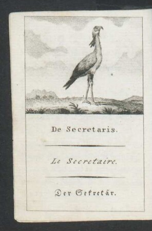 Tafel: De Secretaris. Le Secretaire. Der Sekretär.