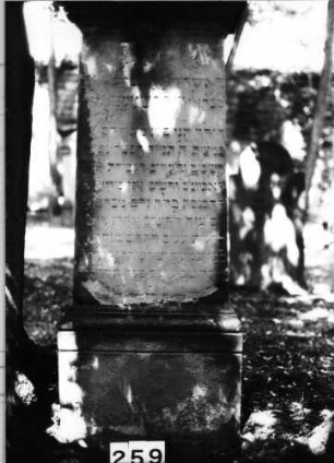Grabstein 259 (Index: 99629760) Material: Sandstein Zustand: verwittert Maße HxBxT: 148x58x35 cm Beschreibung: Stele, Sockel, Giebel: Grabstein 259A