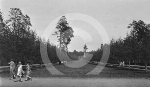 Waldfriedhof Riga