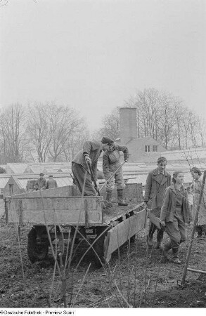 Abtransport von Erde für die Frühbeete