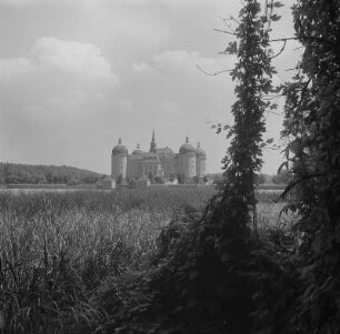 Moritzburg. Blick zum Schloß