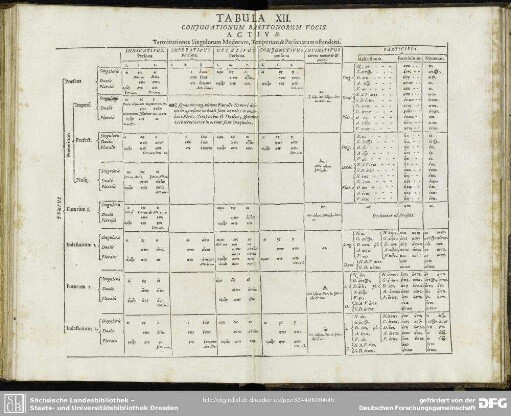 Tabula XII. Coniugationum Barttonorum Vocis Activae