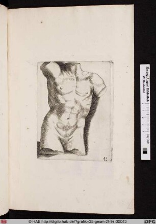 [Anatomische Studie].