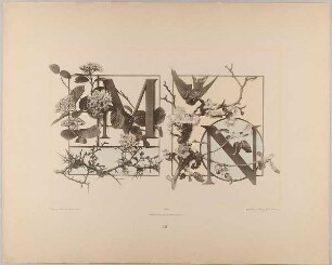XII. Initiale M N mit Mehlbeere, Dorn - Schwalbe und Apfelblüthe