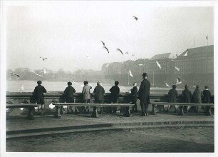 Kinder füttern Möwen an der Binnenalster