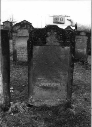 Grabstein 36 (Index: 100090079) Material: Sandstein Zustand: sehr stark verwittert mit fast totalem Textverlust Maße HxBxT: 127x67x13 cm Beschreibung: Stele mit geschwungenem Bogen, florale Motive im Giebel: Grabstein 36