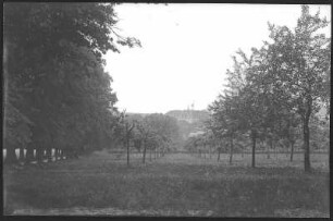 Wechselburg. Schloss