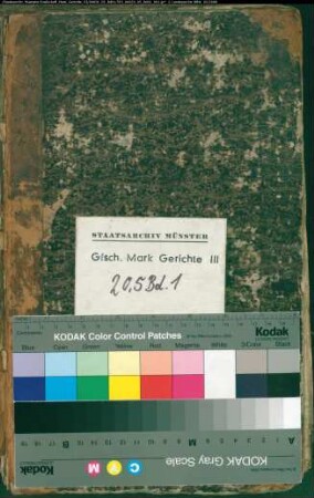 Hypothekenbuch des Kirchspiels Sassendorf (Heppen, Sassendorf) Bd. 1