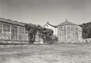 Dresden. Schloss Pillnitz. Palmenhaus : Dresden. Schloss Pillnitz. Palmenhaus im Schlosspark