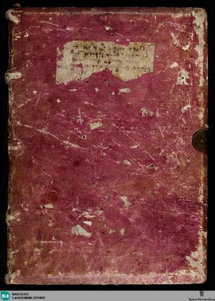 Psalterium non feriatum - Cod. St. Peter pap. 35