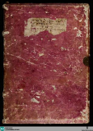 Psalterium non feriatum - Cod. St. Peter pap. 35