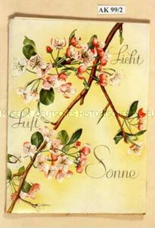 Musterbuch für Tapeten "Licht-Luft-Sonne"