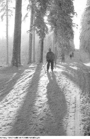 Winter, Landschaften, Skilangläufer, 1956/1957