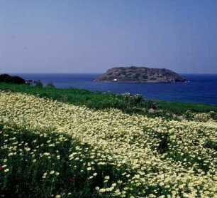 Blick zur Insel Mochlos von Kreta aus