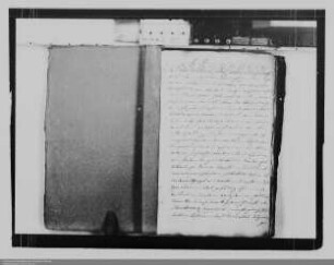 . Fürstinwitwe Henriette Amalie von Nassau-Diez ./. Vormundschaft Nassau-Diez: Allodialität des Hauses Oranienstein: Band 4