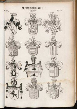 Taf. 150. Dachröden. - Dahlstierna. - Daell. - Dähne. - Daleszynski. - Dallwitz. - Dalwigk. - Damitz. - Damnitz. - Damm. - Dandelski. - Dangel