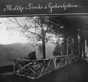 Erster Weltkrieg - "Kriegsansichten aus den Vogesen". "Moltke-Linde und Gedenkstein"
