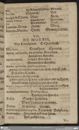 VII. De Morbis