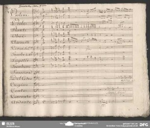 Quintetto: "Senza forza lieve lieve"