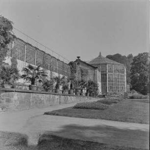 Pillnitz : Dresden-Pillnitz. Schloss Pillnitz. Orangerie und Kamelienhaus