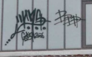 HnS GoSn 2006