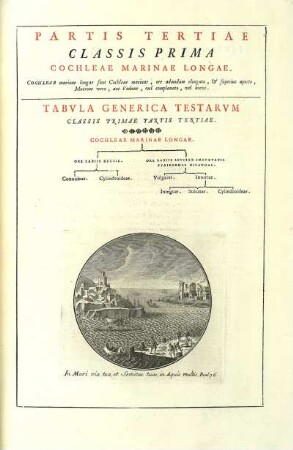 Pars Tertiae Classis Prima. Cochleae Marinae Longae