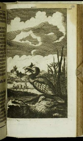 XLVI.