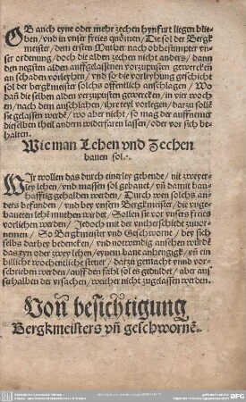 Von besichtigung Bergkmeisters un geschworne.