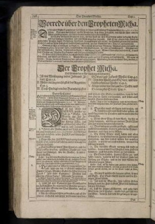 Der Prophet Micha.