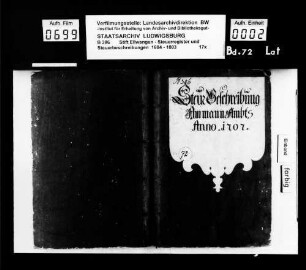 Steuerbeschreibungen und Steuerregister im Ammanamt