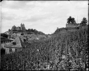 Breisach Stadtansicht mit dem Sankt Stephansmünster und der ehemaligen Burg (1155 erstmals erwähnt) Ansicht von Süden
